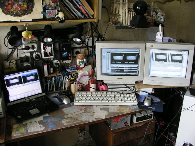 P5091375