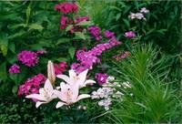 Компазиция