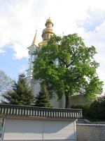 IMG_3257