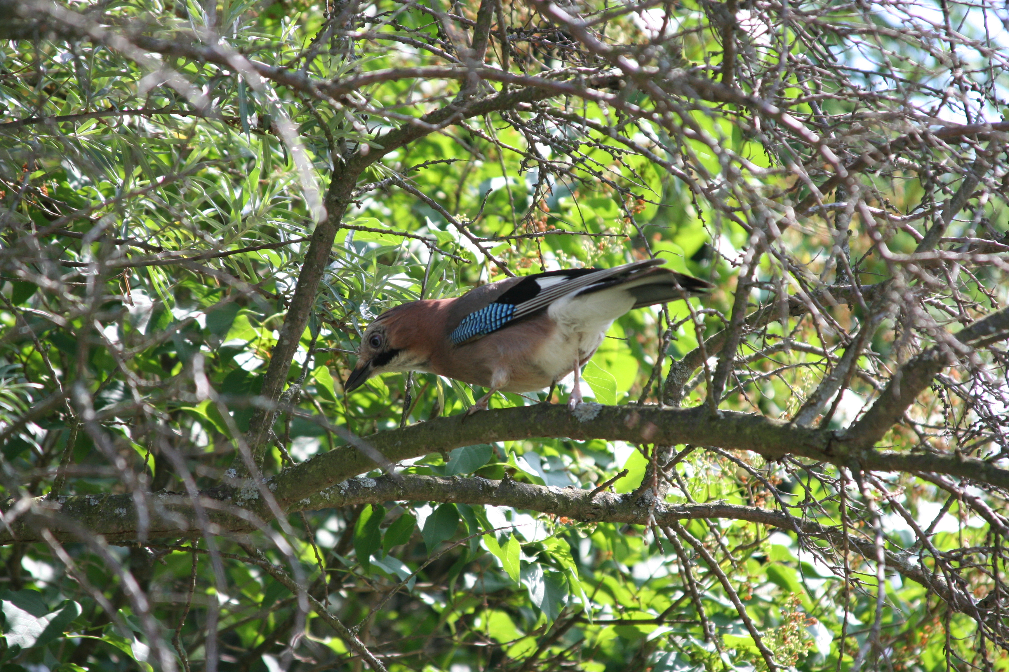 Изображение 062