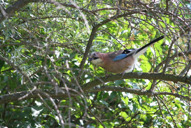 Изображение 064