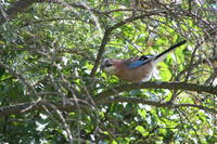 Изображение 064