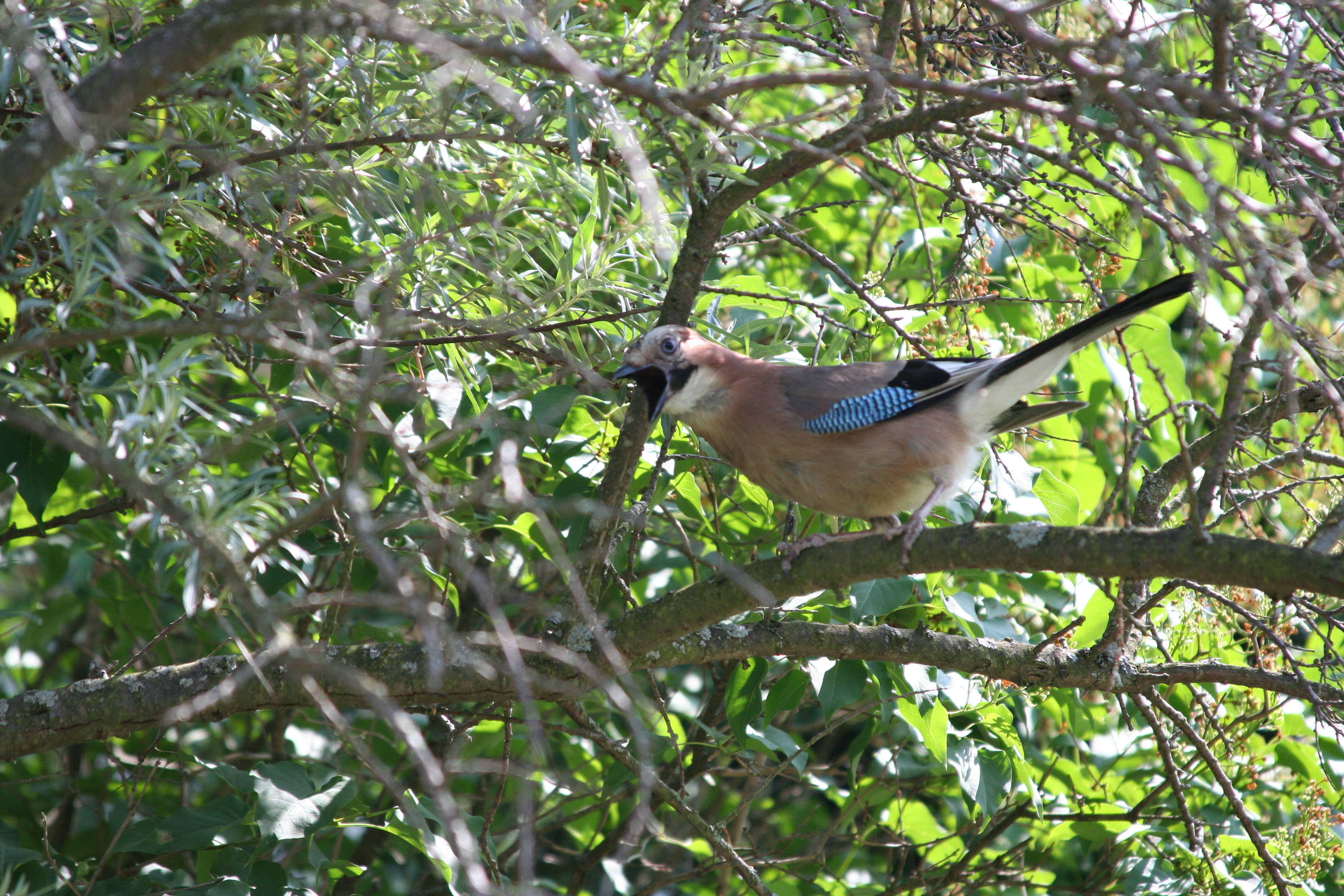 Изображение 065