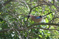 Изображение 065