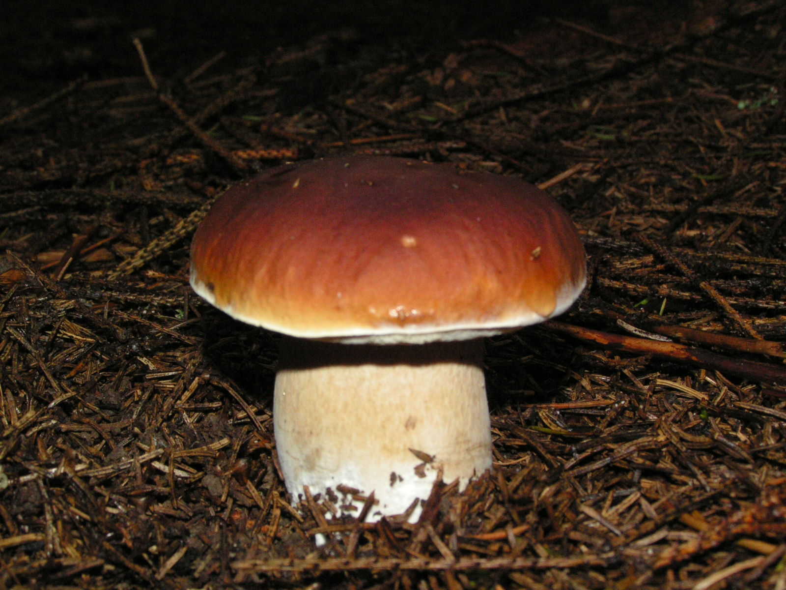 PICT0044