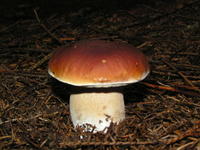 PICT0044
