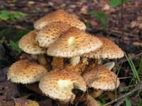 PICT0137