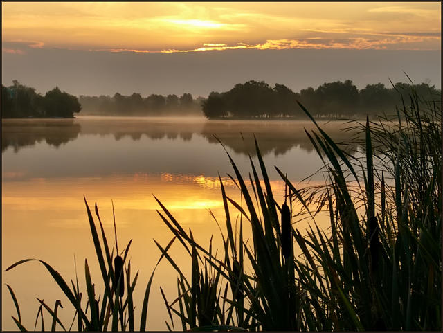 !cid_005801c485ba$089d3bf0$ce2409c3@PATRONWITCH