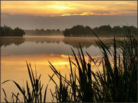 !cid_005801c485ba$089d3bf0$ce2409c3@PATRONWITCH