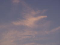 P7143426