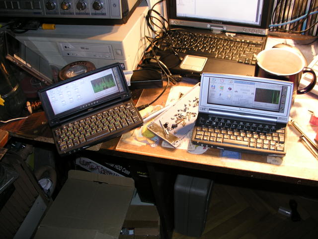 P5061287