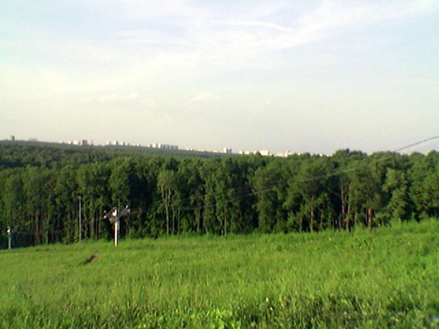 Image(47)