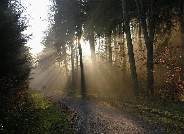 ВМЕСТЕ по жизни шагая