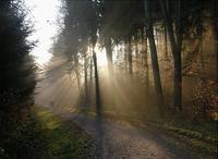 ВМЕСТЕ по жизни шагая