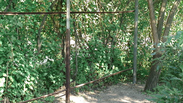 DSC00040