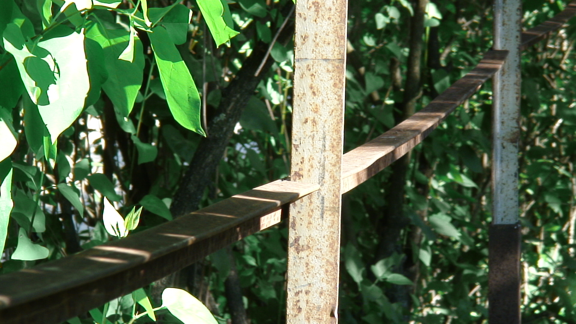 DSC00042
