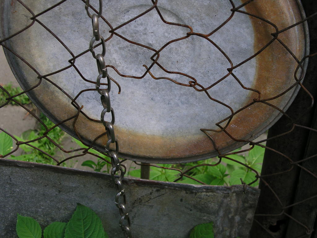 P6182504