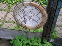 P6182505