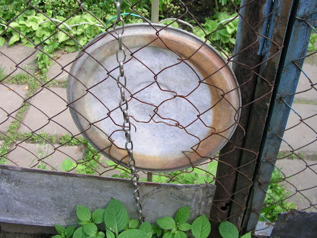 P6182506