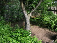 P6182530