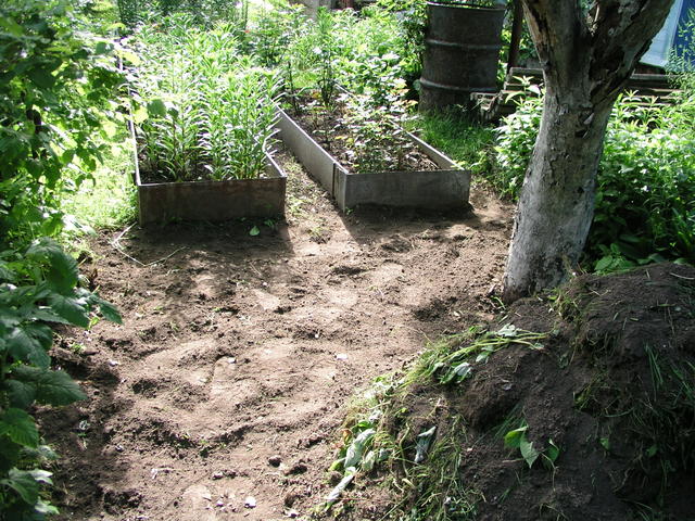 P6182541