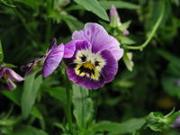 P6182573