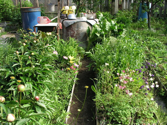 P6182583