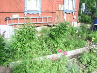 P6182584