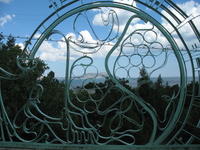 IMG_6353