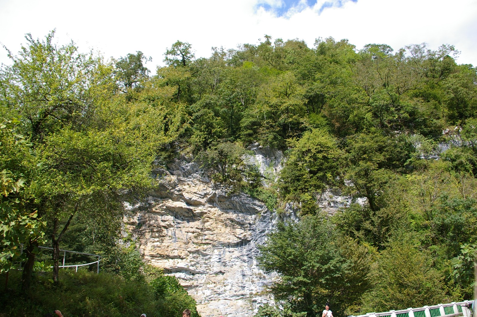 SG1S1554.JPG