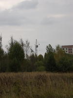STA41234