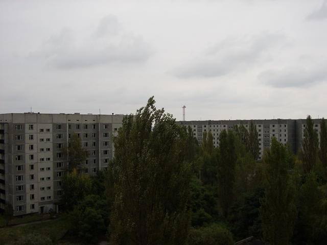 STA41241