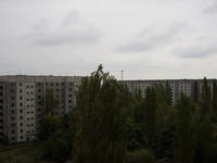 STA41241