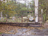 STA41294