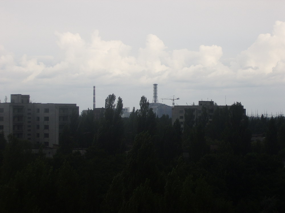 STA41008