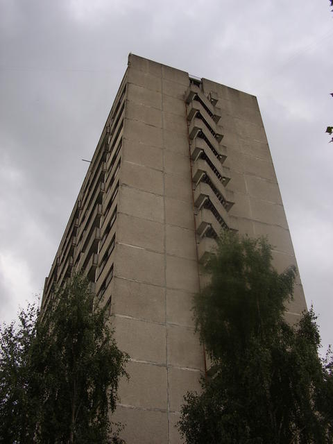 STA40976