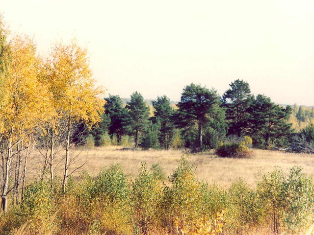 Осенний вид-1