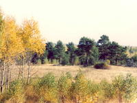 Осенний вид-1