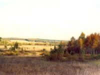 Осенний вид-2