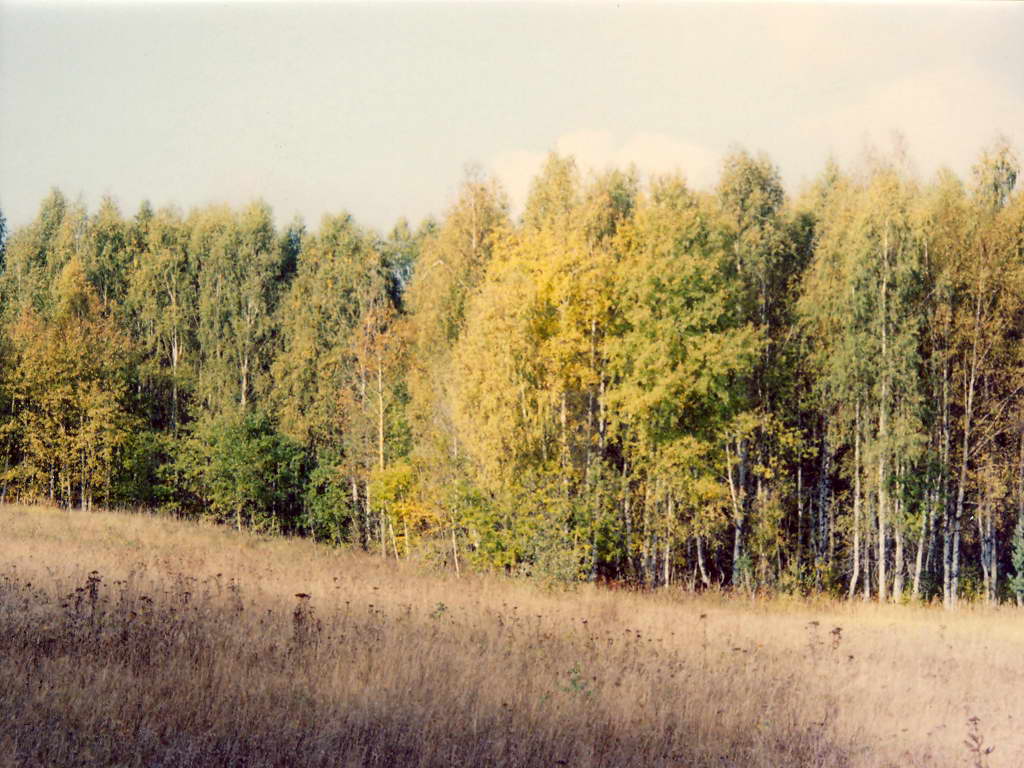 Осенний вид