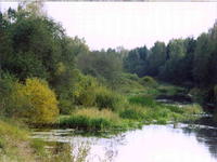 Нерль-3
