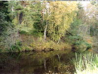 Нерль-5