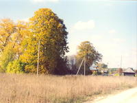 Осень в деревне-1