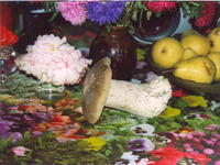 Натюрморт-2