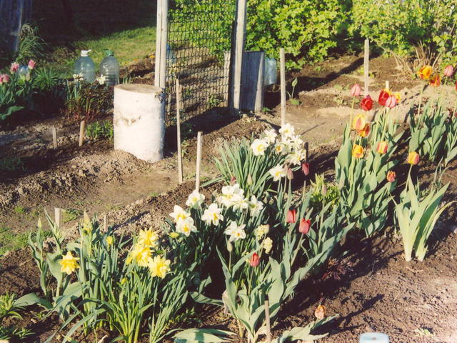 Весна в саду-1