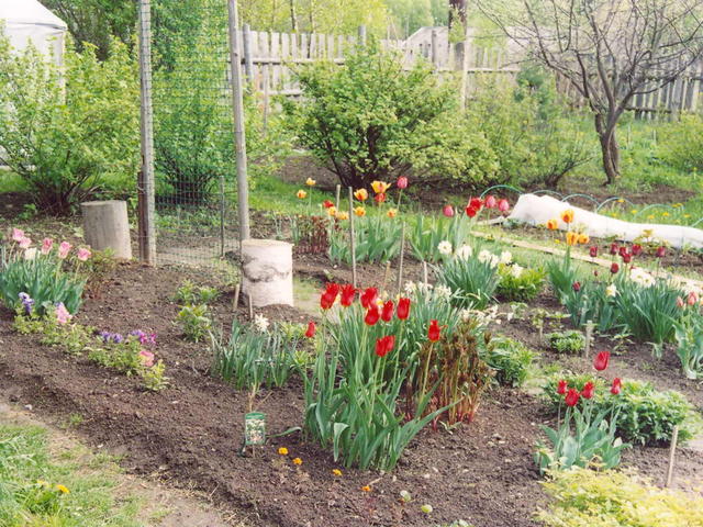 Весна в саду