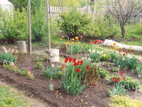 Весна в саду