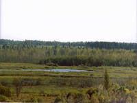 Вид-2