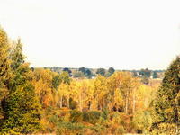 Осенний вид-3