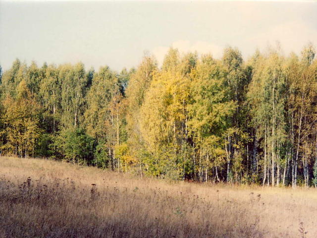 Осенний вид